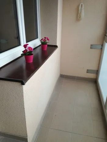 Pronájem bytu 2+kk, Ostrava - Bělský Les, Jiřího Herolda, 49 m2