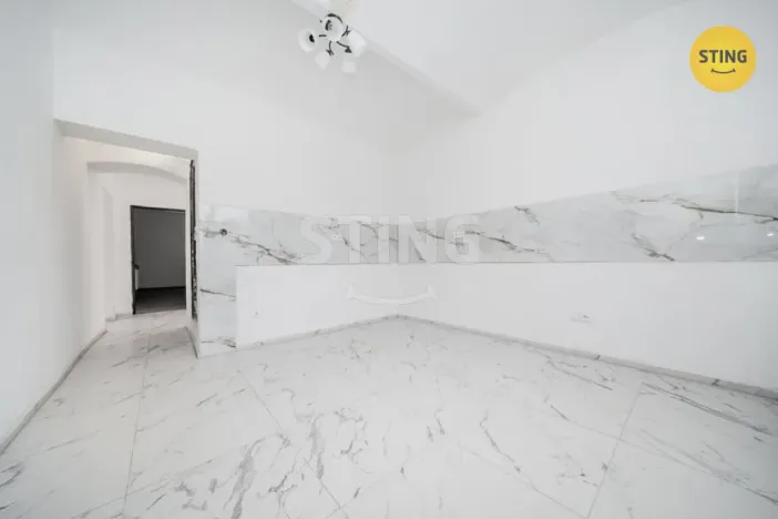 Prodej vícegeneračního domu, Český Těšín, Ropická, 387 m2