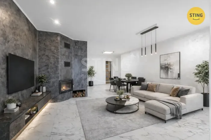 Prodej vícegeneračního domu, Český Těšín, Ropická, 387 m2