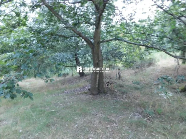 Prodej pozemku pro bydlení, Dubá - Zátyní, 2213 m2