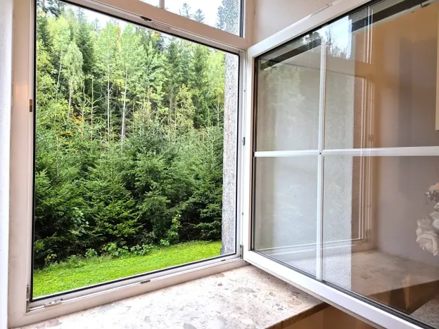 Prodej bytu 2+1, Bayerisch Eisenstein, Německo, Bahnhofstraße, 53 m2