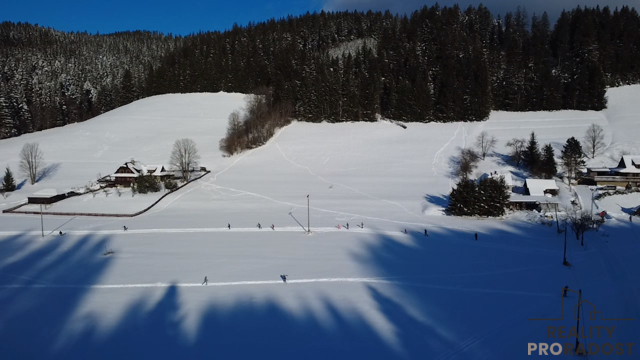 Prodej pozemku pro bydlení, Velké Karlovice, 45173 m2