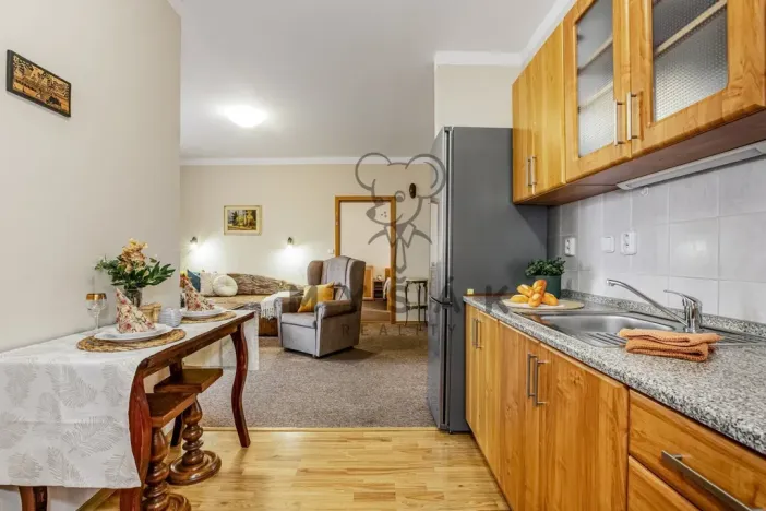 Prodej bytu 2+kk, České Budějovice - České Budějovice 3, U Trojice, 54 m2