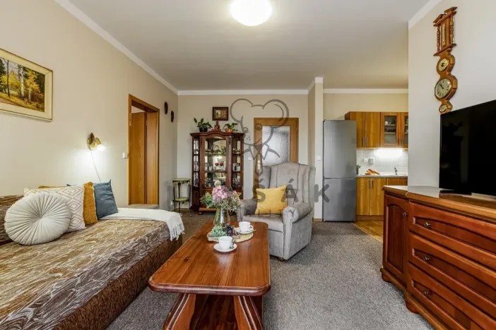 Prodej bytu 2+kk, České Budějovice - České Budějovice 3, U Trojice, 54 m2