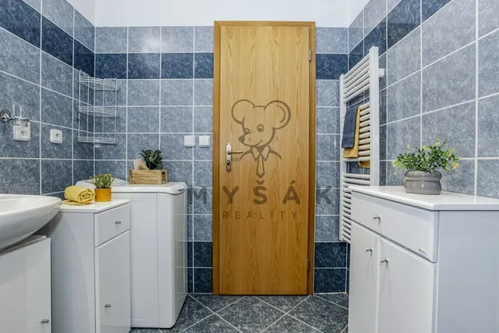 Prodej bytu 2+kk, České Budějovice - České Budějovice 3, U Trojice, 54 m2