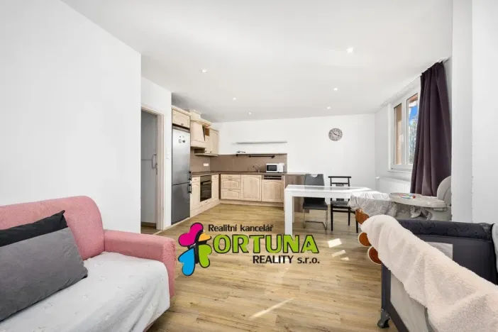 Prodej bytu 3+kk, České Budějovice - České Budějovice 7, Mánesova, 58 m2