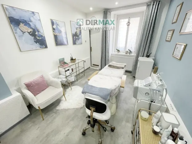 Pronájem kanceláře, Plzeň - Severní Předměstí, Pod Všemi svatými, 40 m2