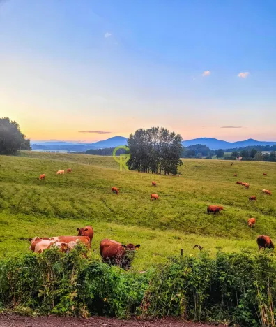 Prodej rodinného domu, Jablonné v Podještědí - Postřelná, 130 m2