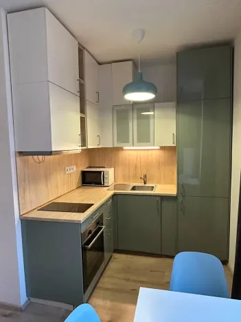 Pronájem bytu 1+kk, Praha - Krč, Budějovická, 30 m2