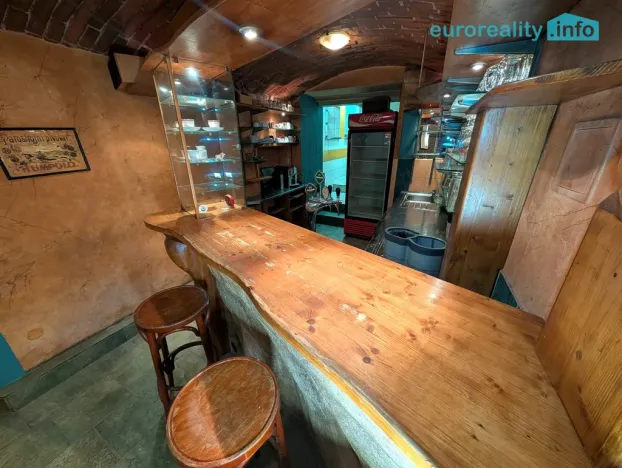 Prodej ubytování, Plzeň, Lindauerova, 800 m2