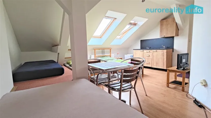 Prodej ubytování, Plzeň, Lindauerova, 700 m2