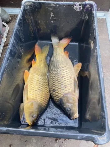 Prodej rybníku, Křivsoudov, 26509 m2