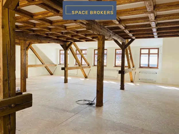 Pronájem kanceláře, Praha, Údolní, 1290 m2