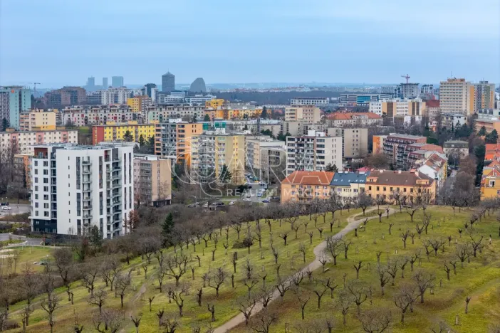 Prodej bytu 4+kk, Praha - Žižkov, Křivá, 91 m2