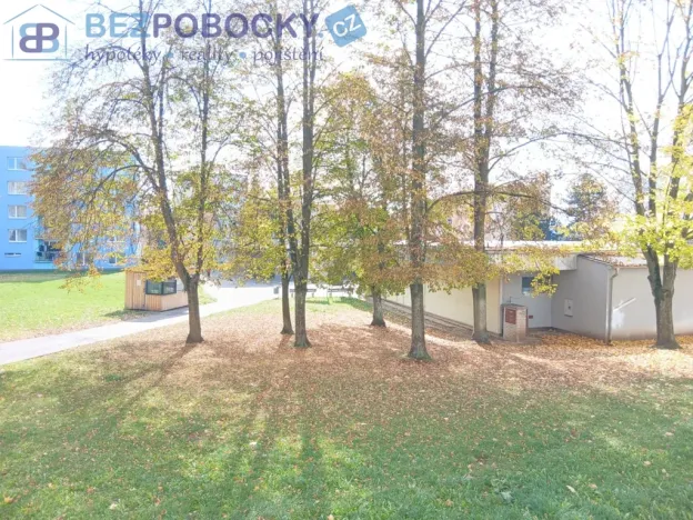 Prodej bytu 1+1, Havlíčkův Brod, Žižkov II, 35 m2