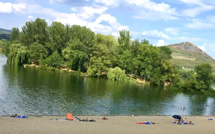 Prodej pozemku, Píšťany, 828 m2