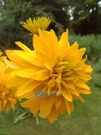 Prodej rodinného domu, Rudník, 245 m2