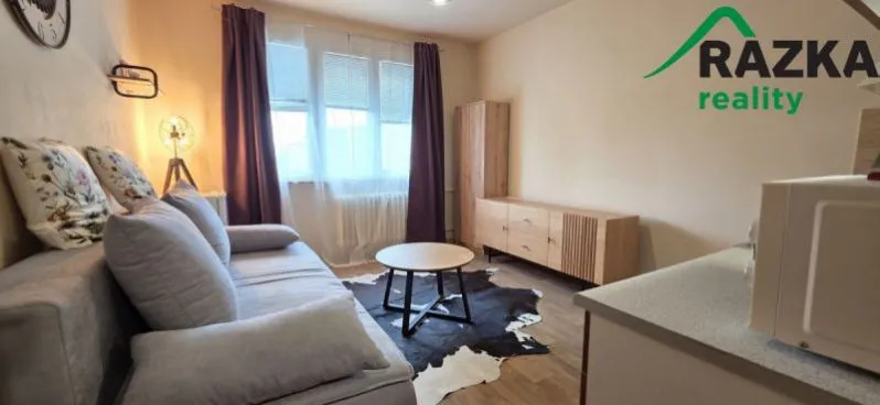 Pronájem bytu 1+kk, Tachov, Bělojarská, 25 m2