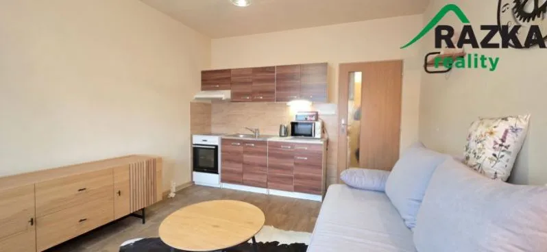 Pronájem bytu 1+kk, Tachov, Bělojarská, 25 m2