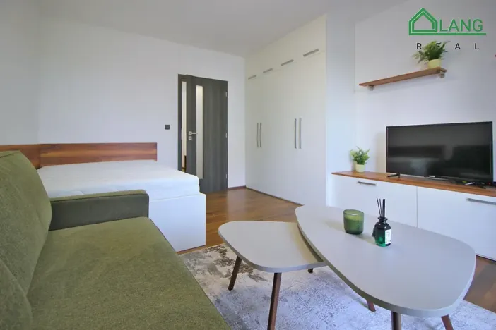 Pronájem bytu 1+1, Brno, Jeneweinova, 47 m2