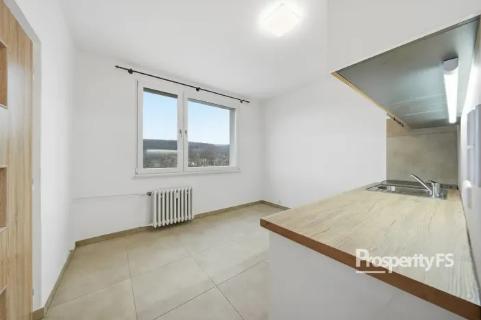 Pronájem bytu 1+1, Ústí nad Labem - Neštěmice, Seifertova, 35 m2