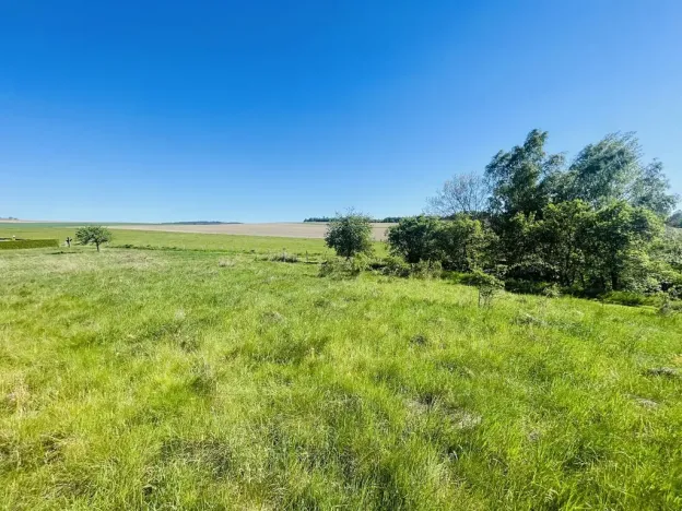 Prodej pozemku pro bydlení, Radnice, Puchmajerova, 850 m2