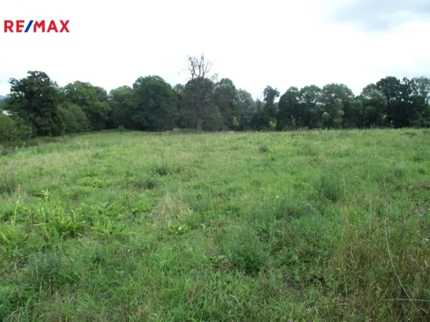 Prodej pozemku pro bydlení, Polom, 1399 m2