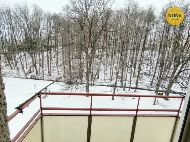 Prodej bytu 2+1, Třinec, Palackého, 48 m2