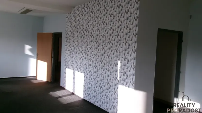 Pronájem kanceláře, Brno, Cejl, 262 m2