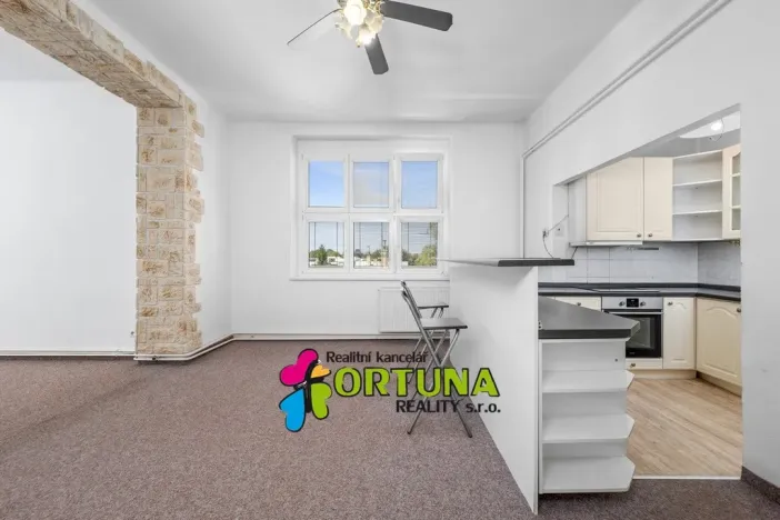 Prodej bytu 2+1, České Budějovice - České Budějovice 3, Fr. Hrubína, 81 m2