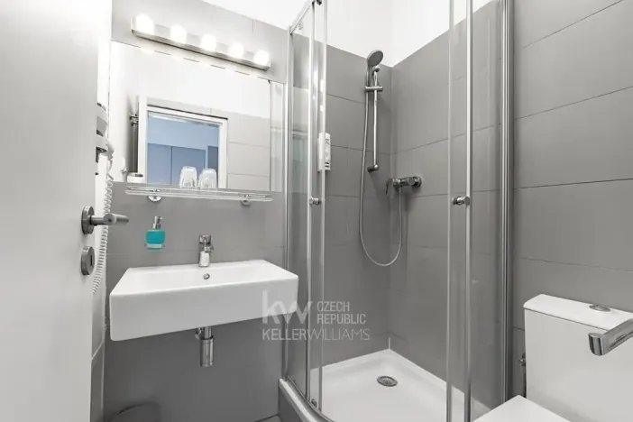 Pronájem bytu 1+kk, Praha - Nusle, Na Jezerce, 18 m2