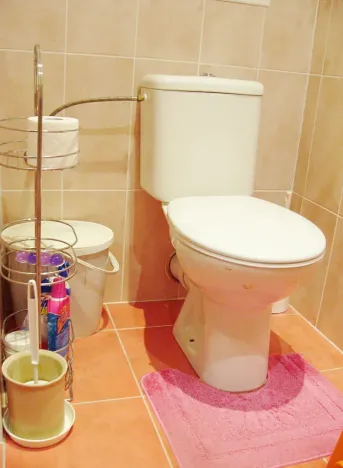 Pronájem bytu 2+kk, Hradec Králové, Selicharova, 49 m2