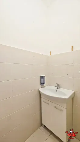 Pronájem kanceláře, Praha - Vinohrady, Lucemburská, 28 m2