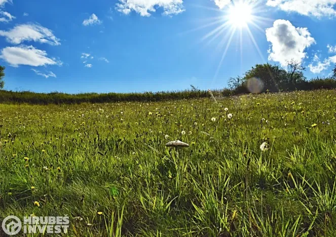 Prodej pozemku pro bydlení, Hnátnice, 5229 m2