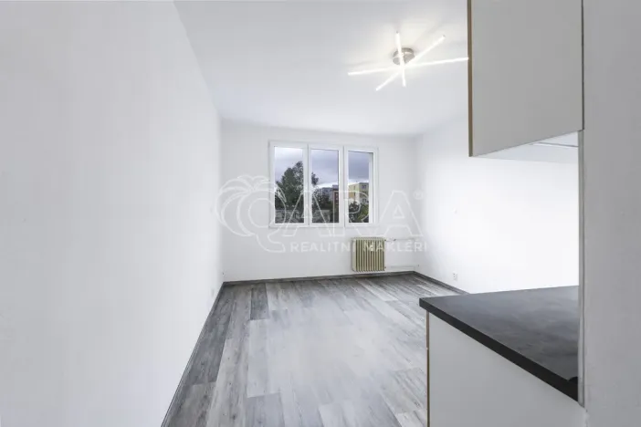 Pronájem bytu 1+kk, Klatovy - Klatovy III, Prusíkova, 19 m2