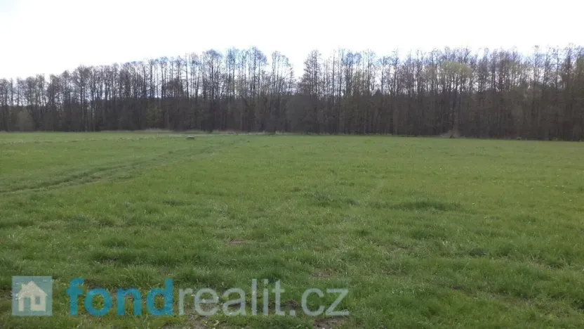 Prodej pole, Tachov, 69579 m2