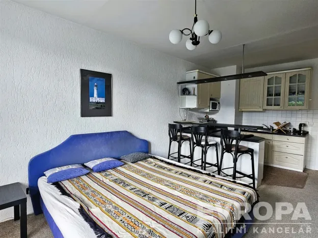 Pronájem bytu 1+kk, Vrchlabí, Horská, 32 m2