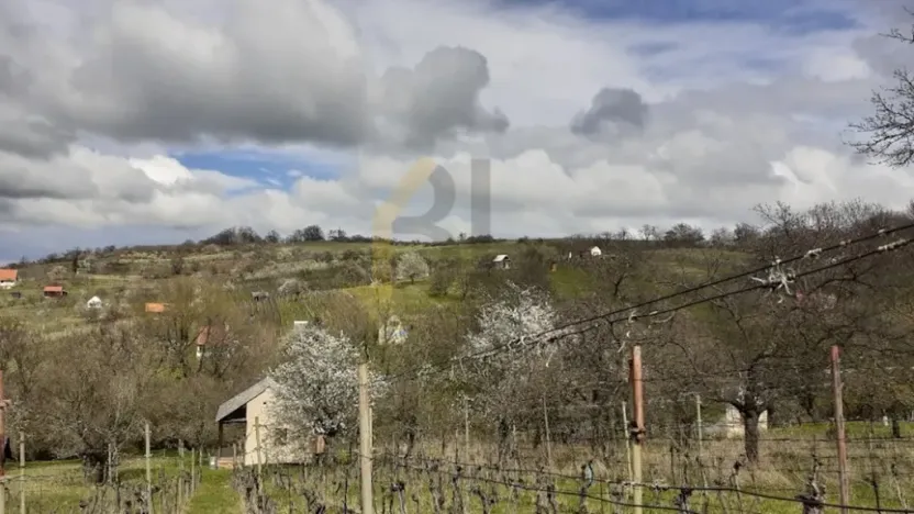 Prodej sadu/vinice, Strážnice, 2284 m2