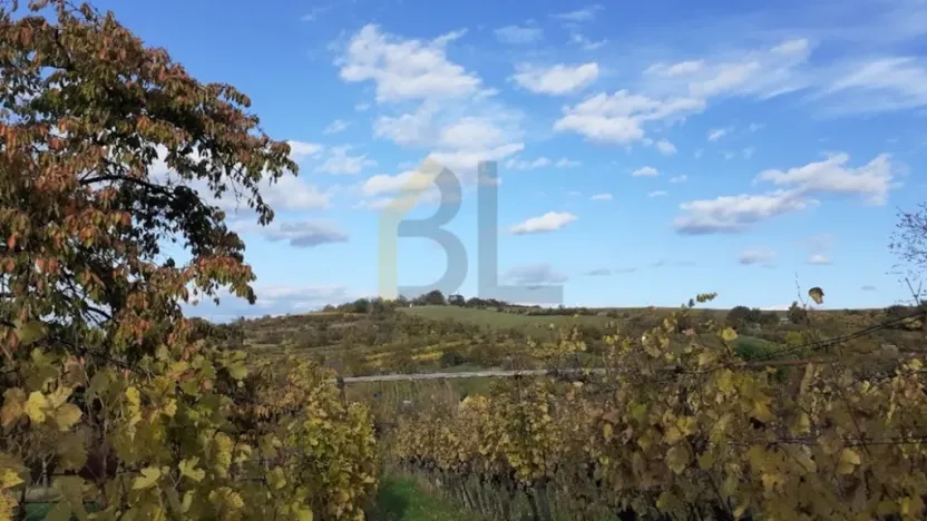 Prodej sadu/vinice, Strážnice, 2284 m2