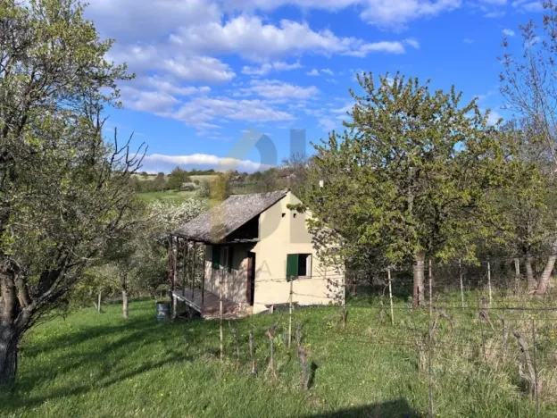 Prodej sadu/vinice, Strážnice, Veselská, 2284 m2