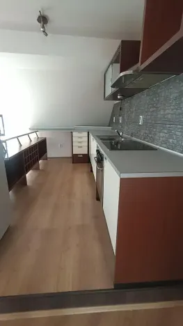 Pronájem bytu 4+kk, Teplice, Svatopluka Čecha, 210 m2