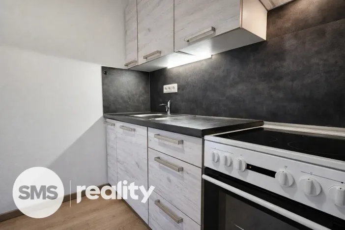 Pronájem bytu 2+kk, Opava - Předměstí, Rybářská, 30 m2