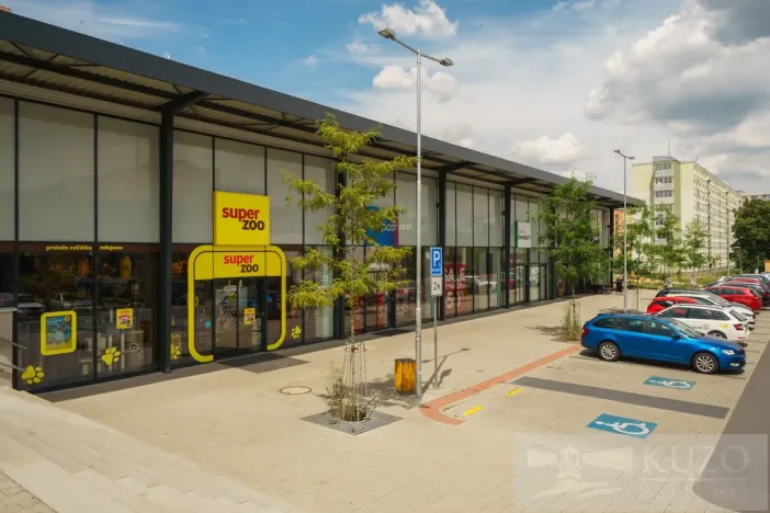 Pronájem bytu 2+1, Plzeň, Terezie Brzkové, 68 m2