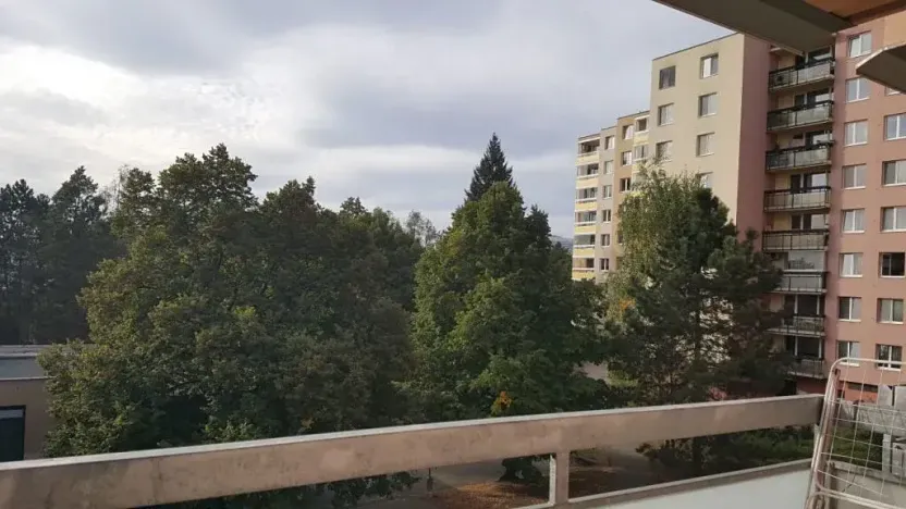 Pronájem bytu 1+kk, Brno, Běloruská, 30 m2