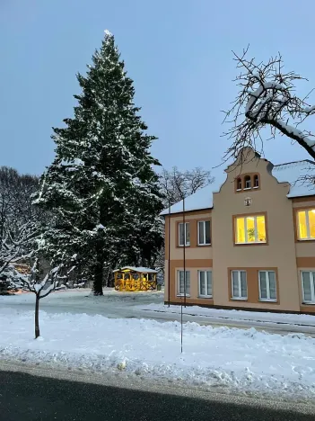 Prodej pozemku pro bydlení, Loučeň, Spojovací, 1321 m2