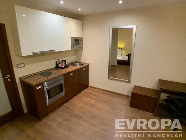 Pronájem bytu 1+kk, Plzeň - Jižní Předměstí, U Borského parku, 37 m2