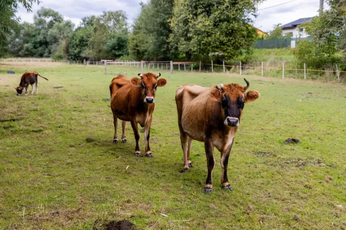 Prodej chaty, Litíč, 60 m2