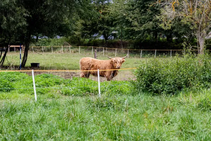 Prodej chaty, Litíč, 60 m2