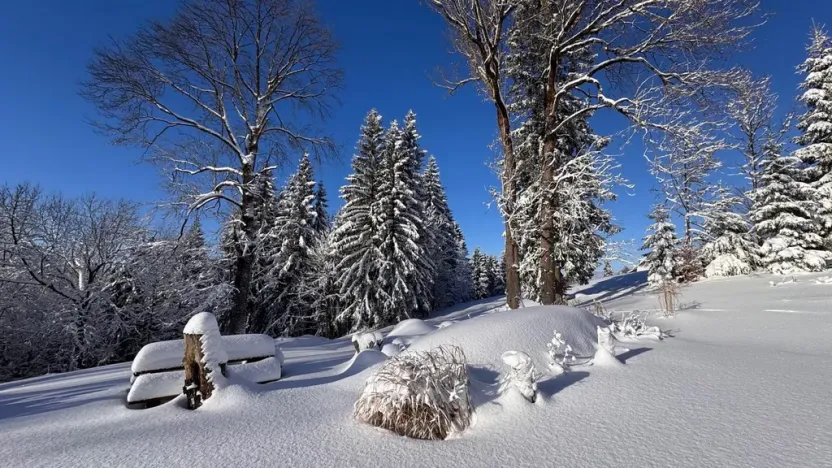 Prodej chaty, Kořenov - Polubný, 223 m2