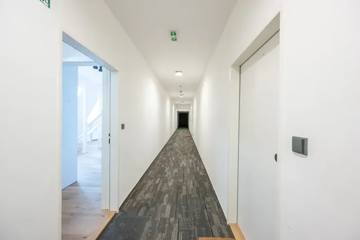 Prodej ubytování, Brno, Štefánikova, 60 m2